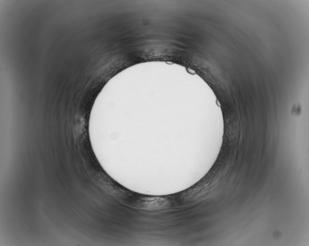 X0000097920087200804111151