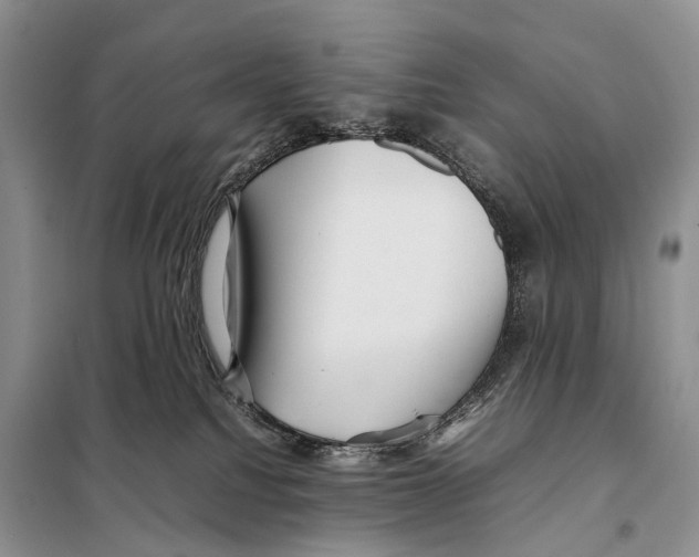 X0000097920088200804111151