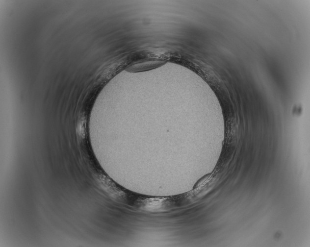 X0000097920090200804111151