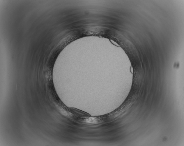 X0000097920091200804111151