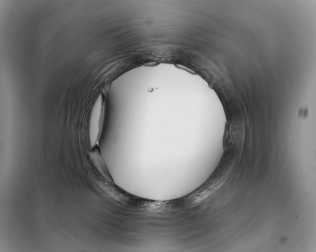 X0000097920092200804111151