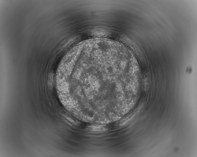 X0000097920093200804111151