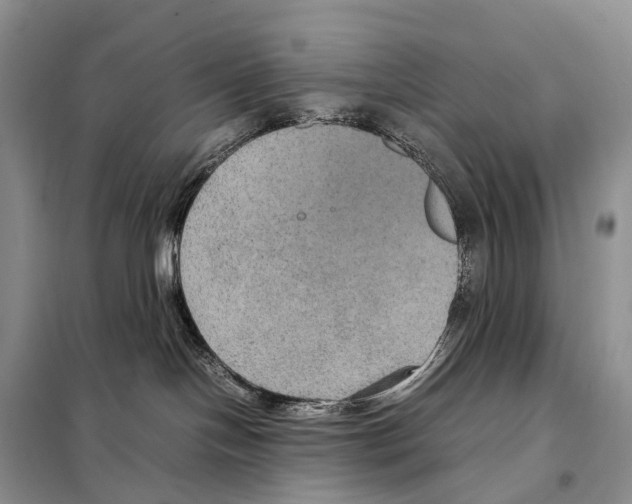 X0000097920094200804111151