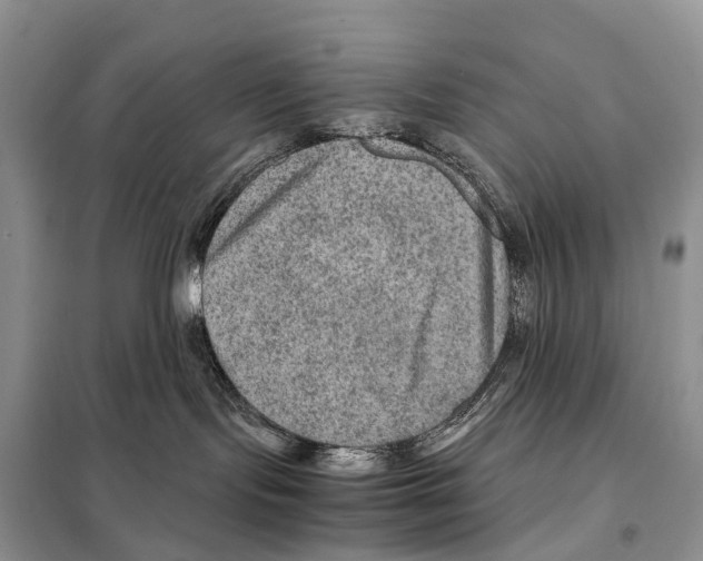 X0000097920095200804111151