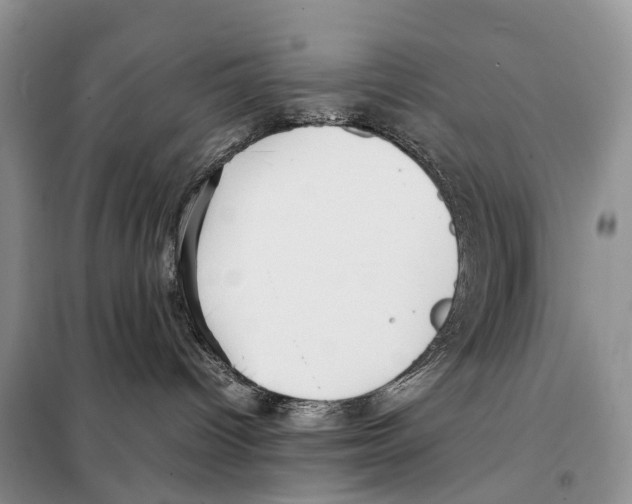 X0000097920096200804111151