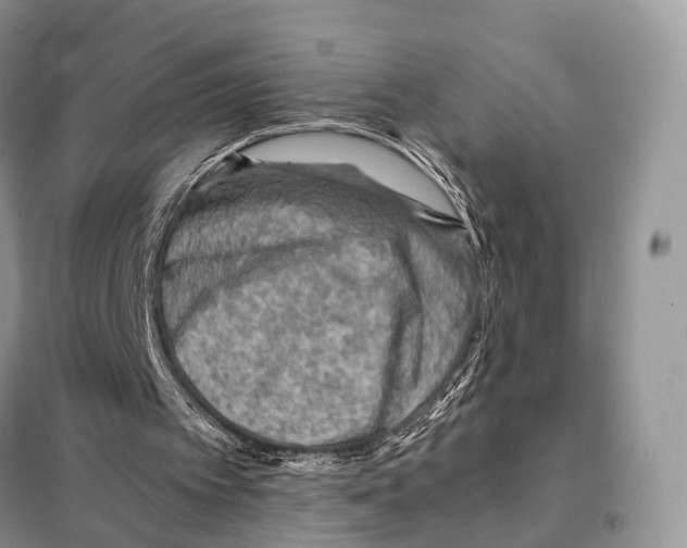 X0000097920097200804111150