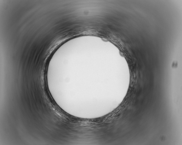 X0000097920098200804111150