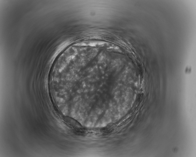 X0000097920099200804111150