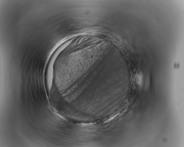 X0000097920100200804111150