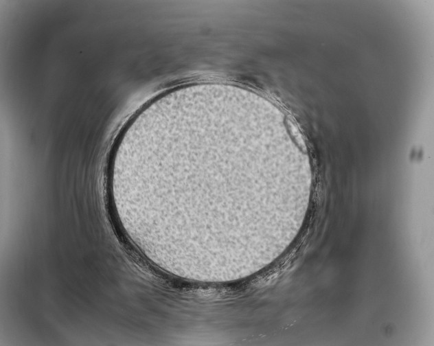 X0000097920103200804111150