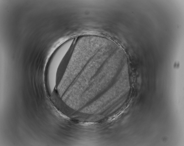 X0000097920104200804111150