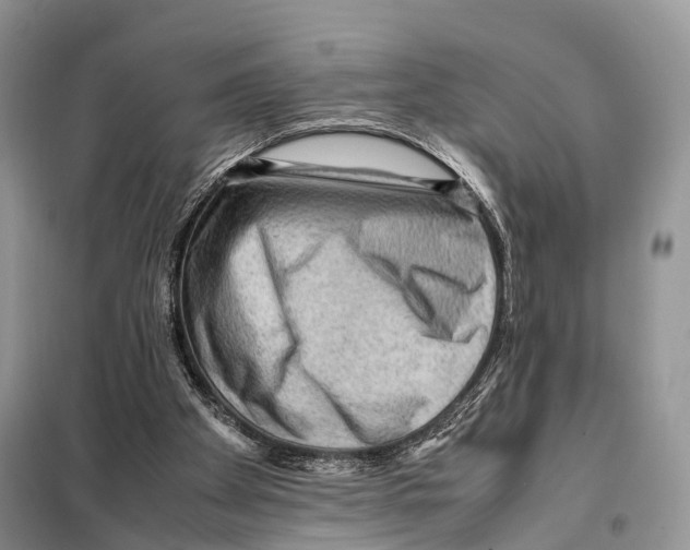 X0000097920105200804111150