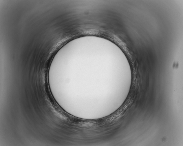 X0000097920106200804111150