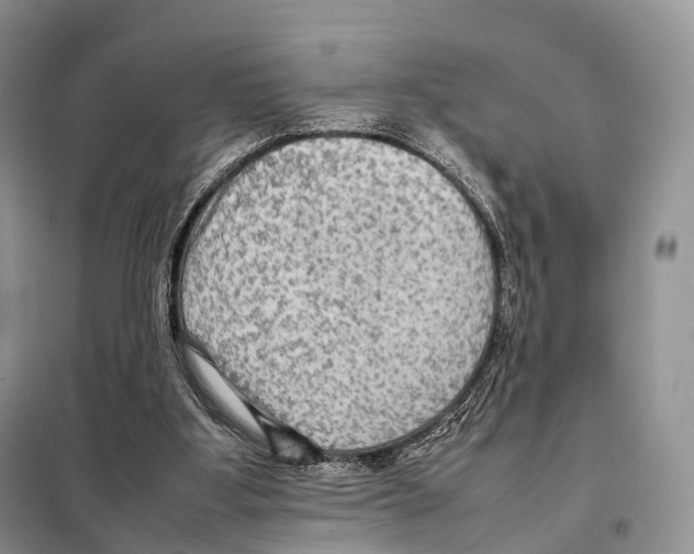 X0000097920107200804111150