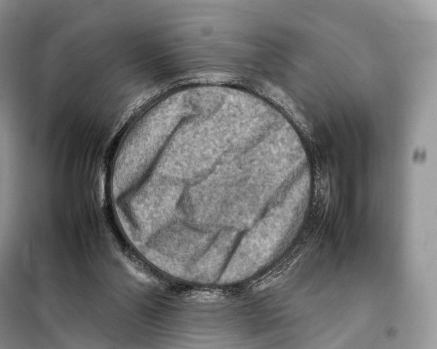 X0000097920110200804111150