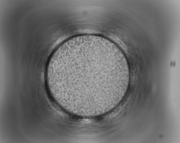 X0000097920111200804111150