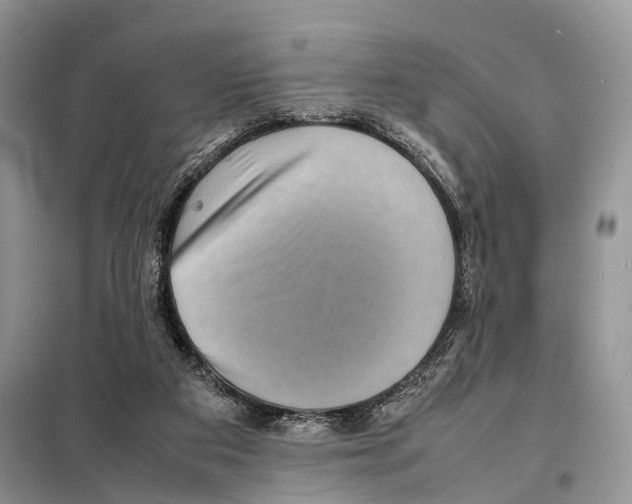 X0000097920113200804111150