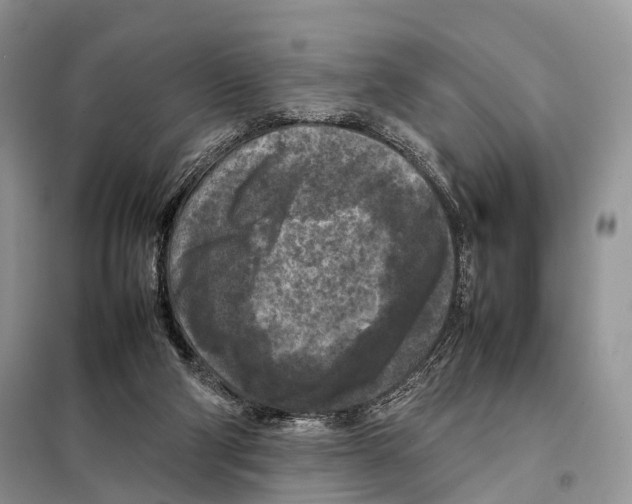 X0000097920114200804111150