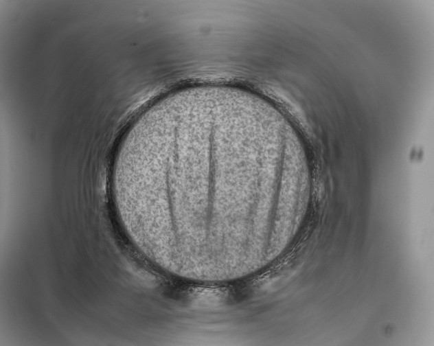 X0000097920115200804111150