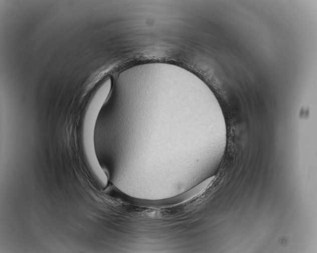 X0000097920116200804111150