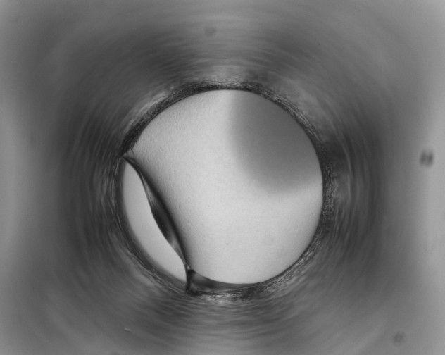 X0000097920120200804111150