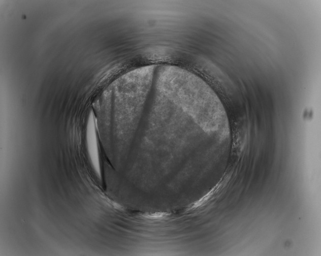 X0000097920124200804111150