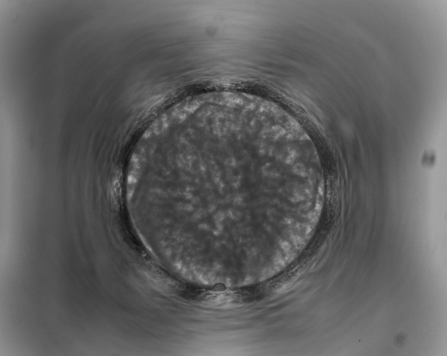 X0000097920127200804111149