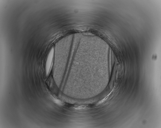 X0000097920128200804111149