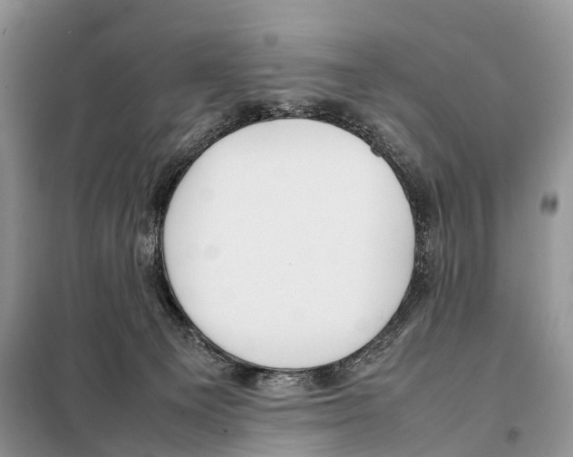 X0000097920129200804111149