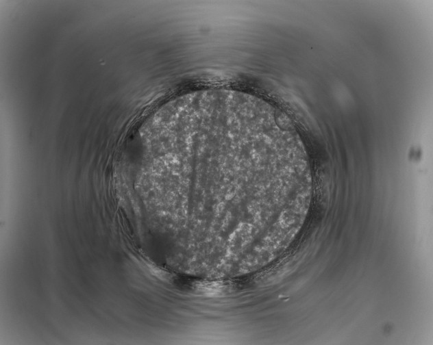 X0000097920131200804111149