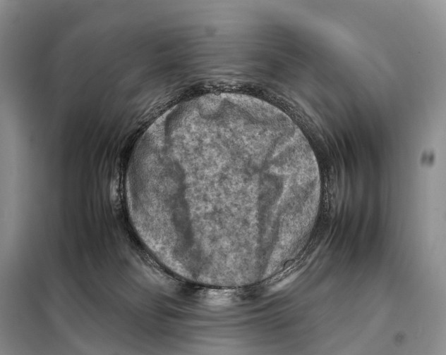 X0000097920134200804111149