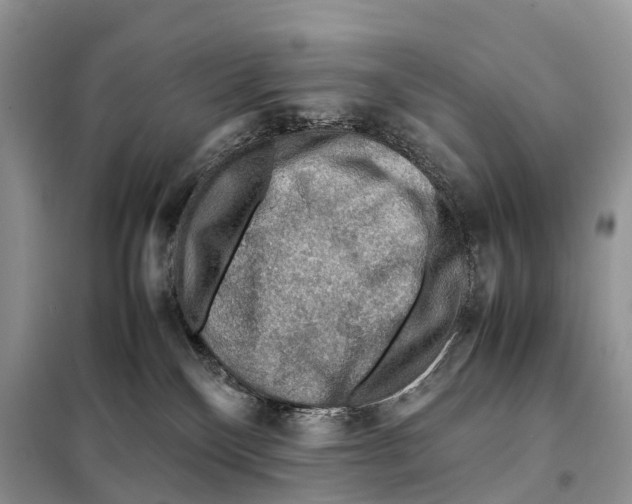 X0000097920136200804111149