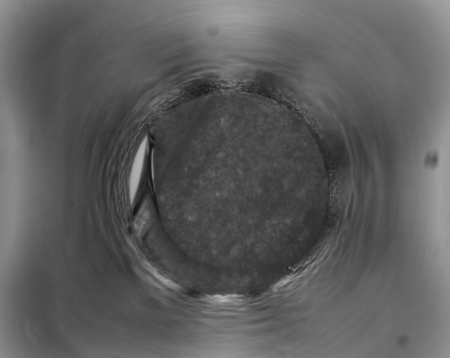 X0000097920137200804111149