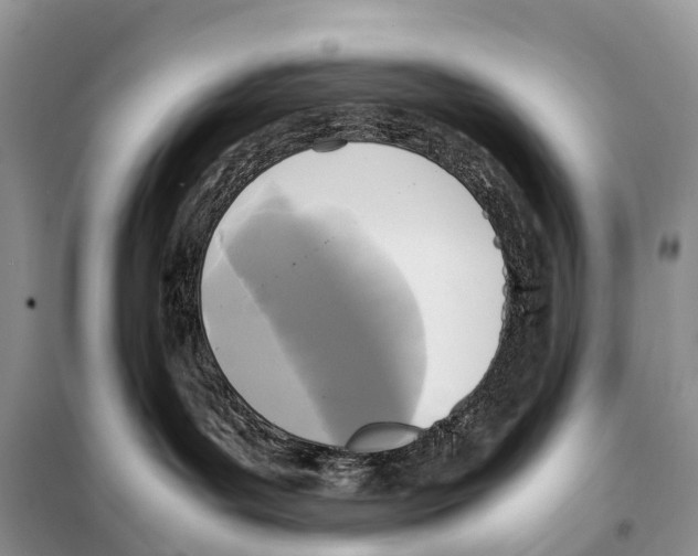 X0000097920143200804111149