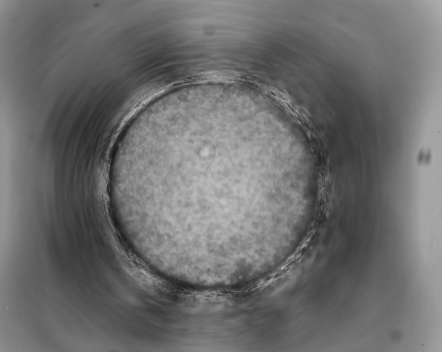 X0000097920146200804111149