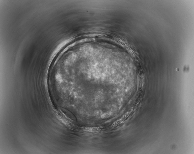 X0000097920147200804111149