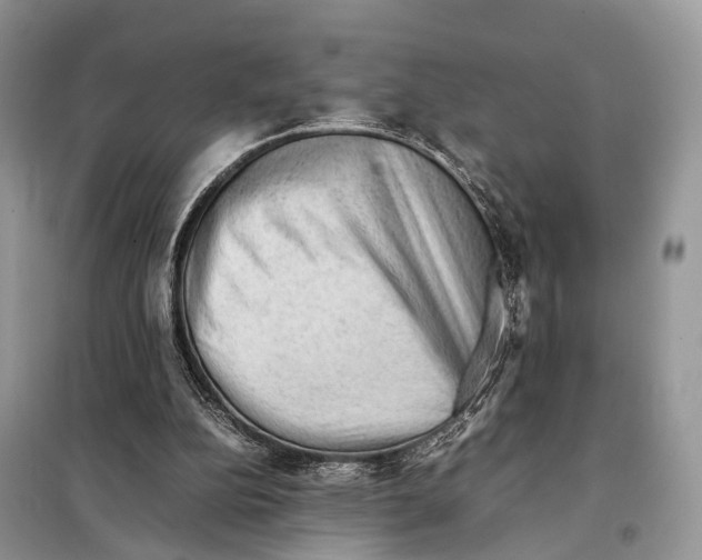 X0000097920152200804111149