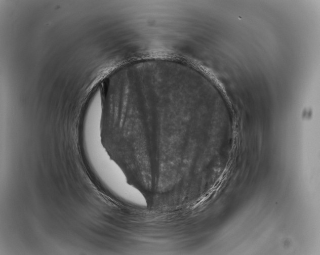 X0000097920154200804111149