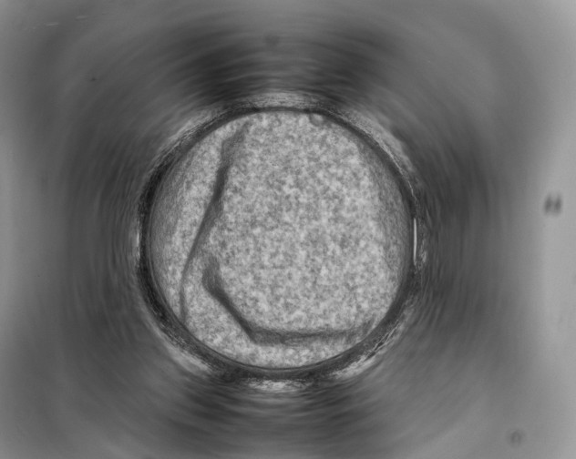 X0000097920157200804111149