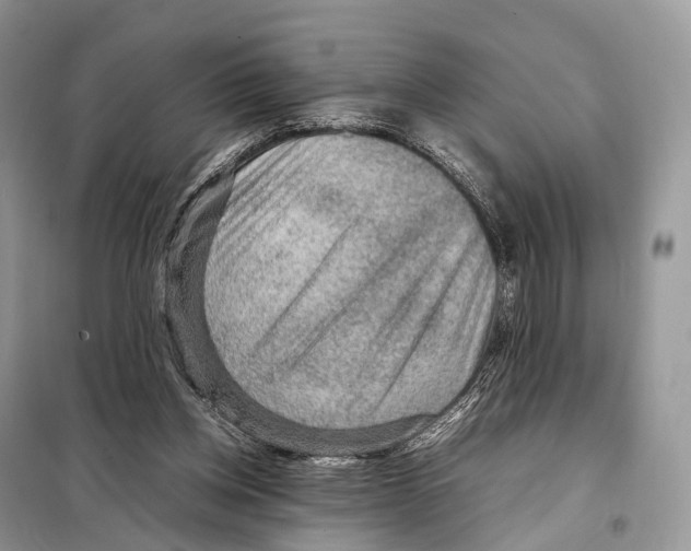 X0000097920158200804111149