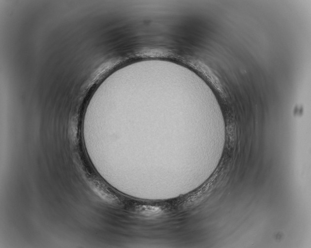 X0000097920159200804111149