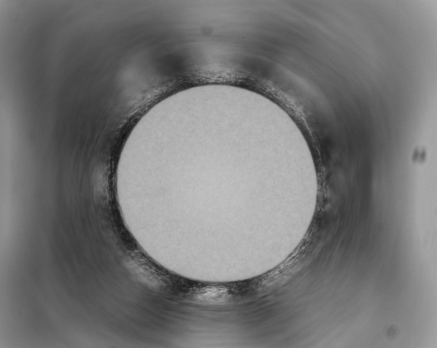 X0000097920162200804111149