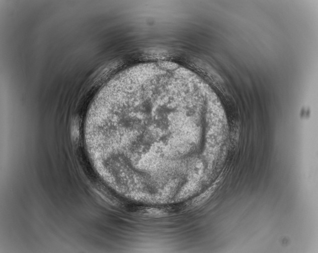 X0000097920166200804111149