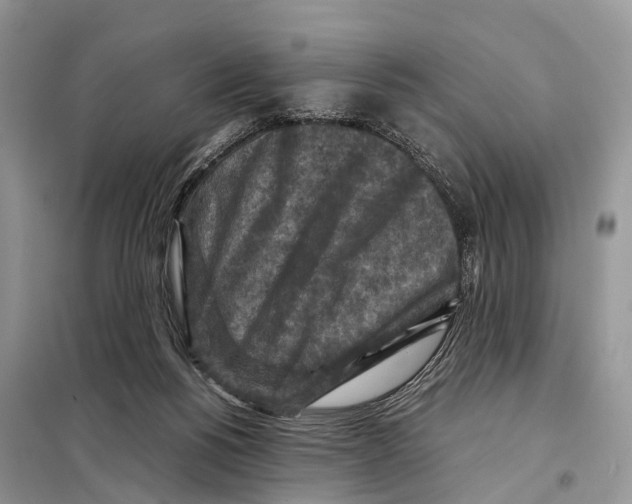 X0000097920168200804111149