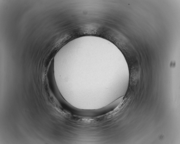 X0000097920172200804111149