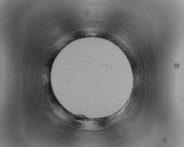 X0000097920174200804111149