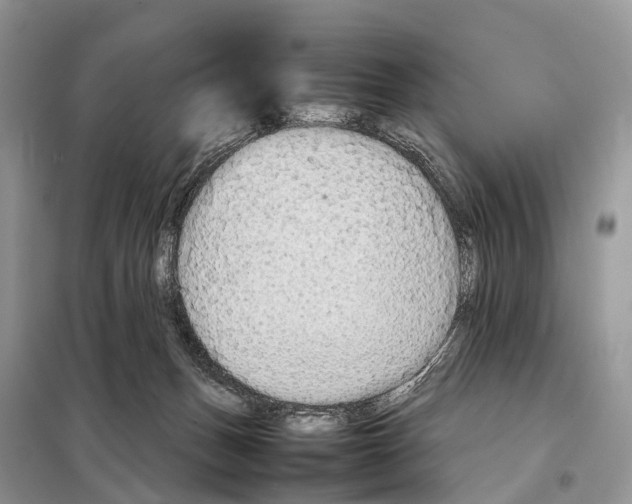 X0000097920175200804111149