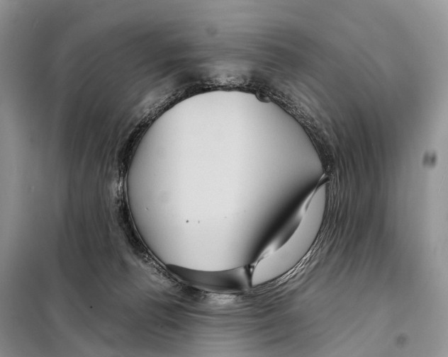 X0000097920176200804111149