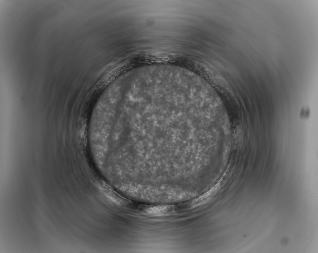 X0000097920178200804111149