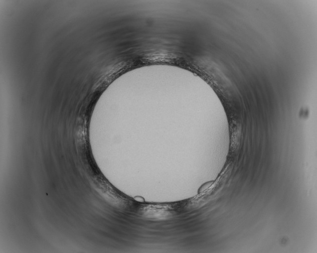 X0000097920179200804111149